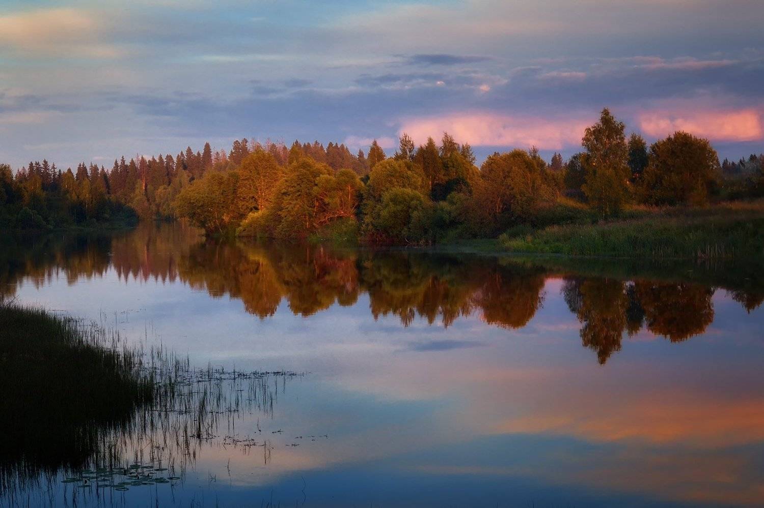 , Алексей Никонов