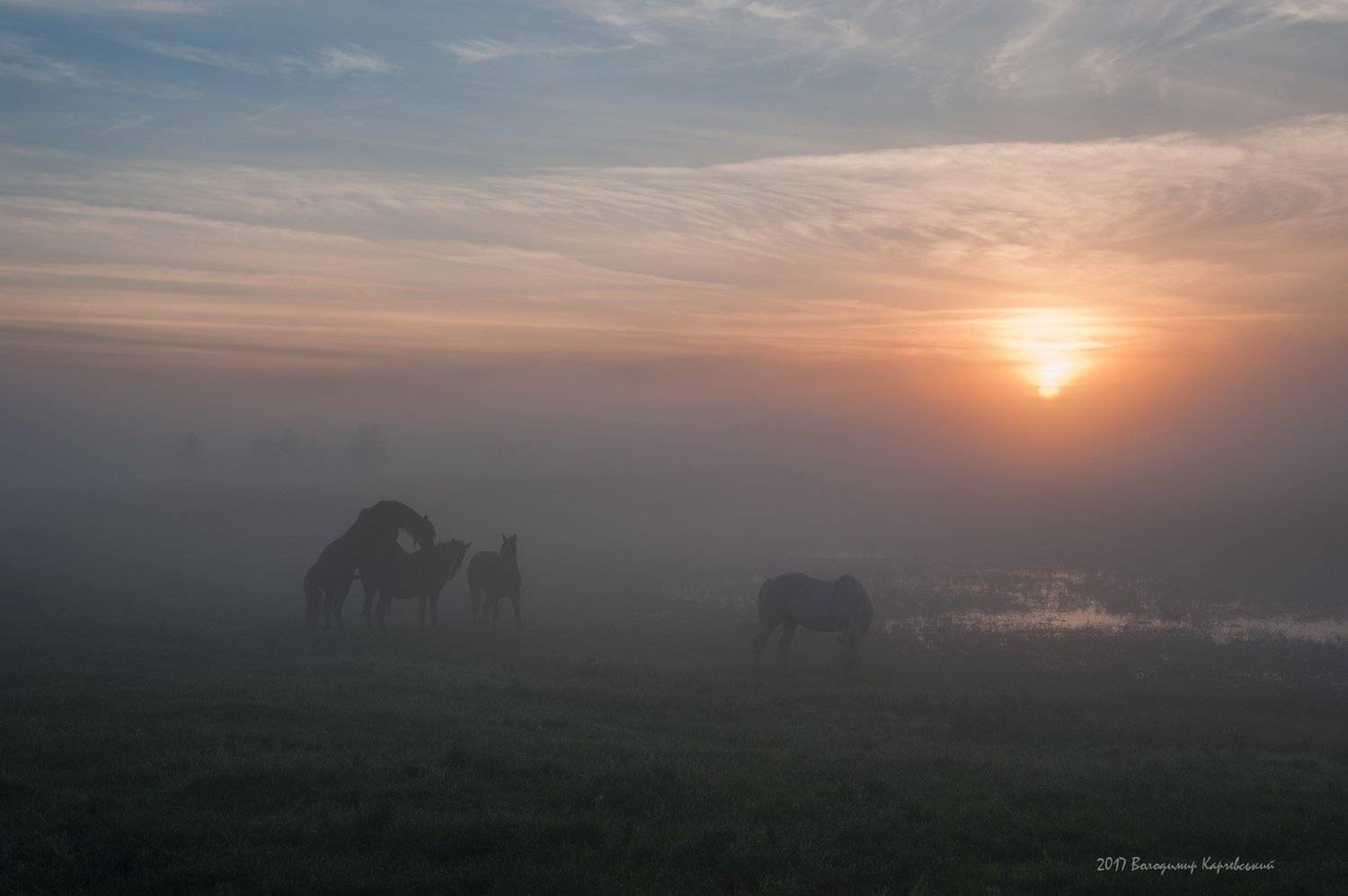 , Володимир Карчевський