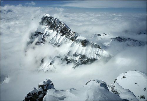 заоблачное тирамису