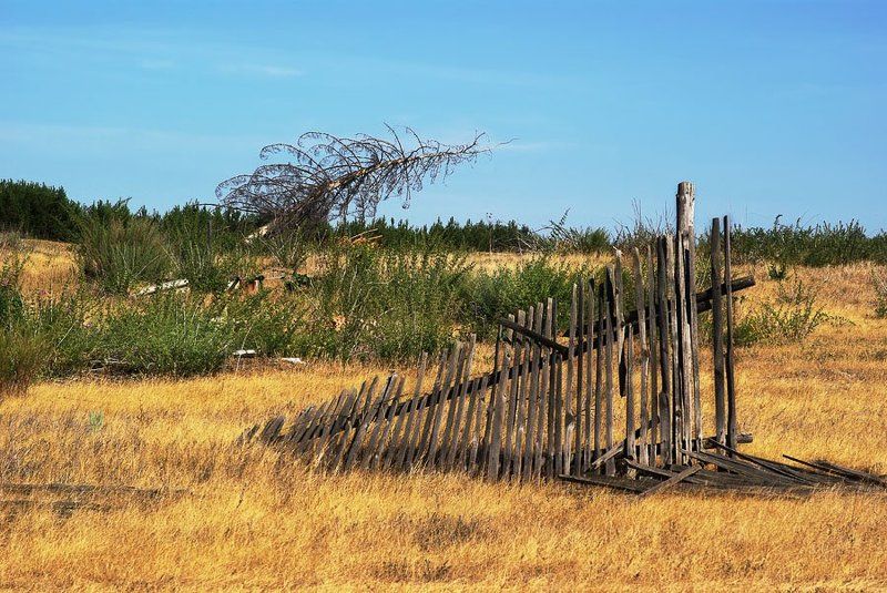 пейзаж, природа, зауралье *** фото превью
