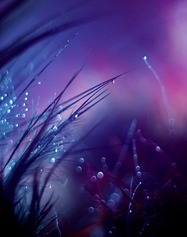 thin worlds фото превью