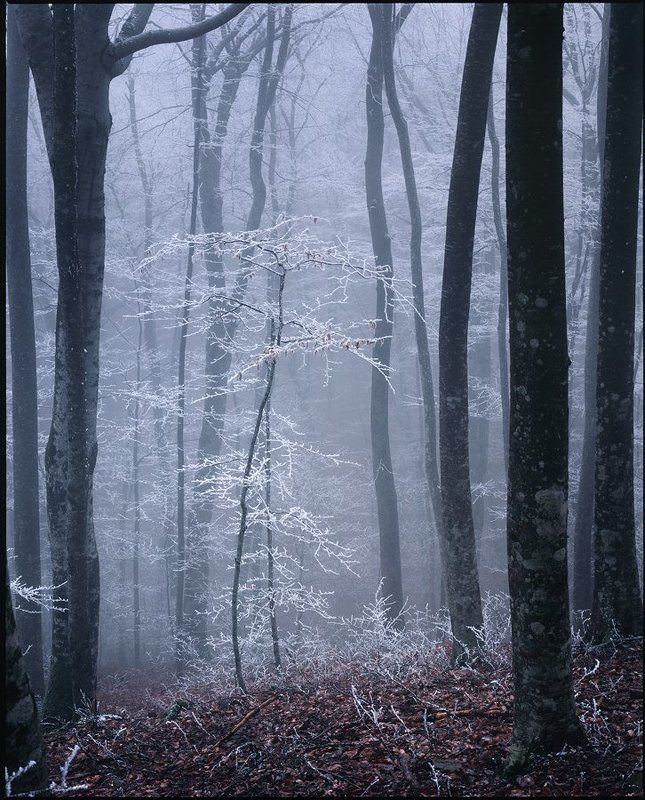 * фото превью