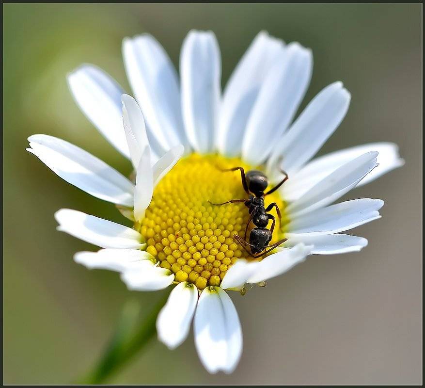 , Евгений Кирилкин.