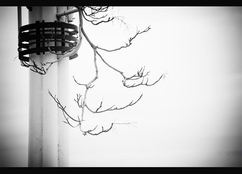 Танка Белого.... фото превью