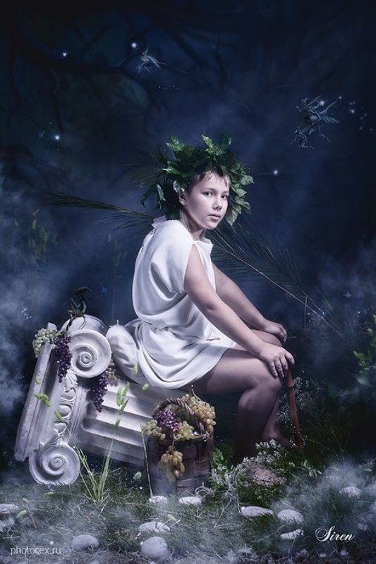 Сказки ночного леса фото превью