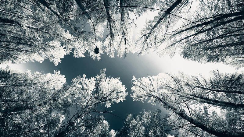 Вижу! ...осень фото превью