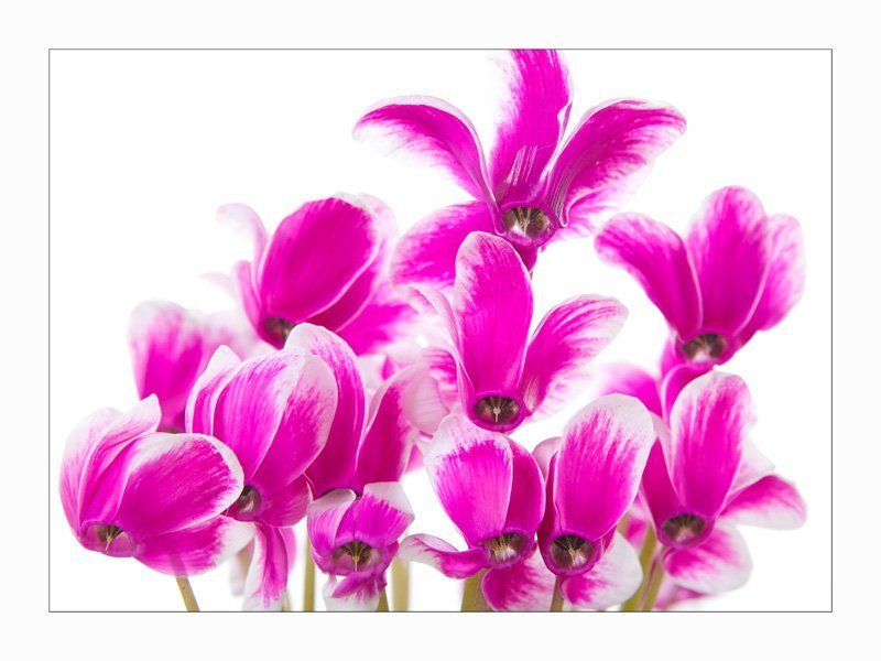 Воздух фото превью