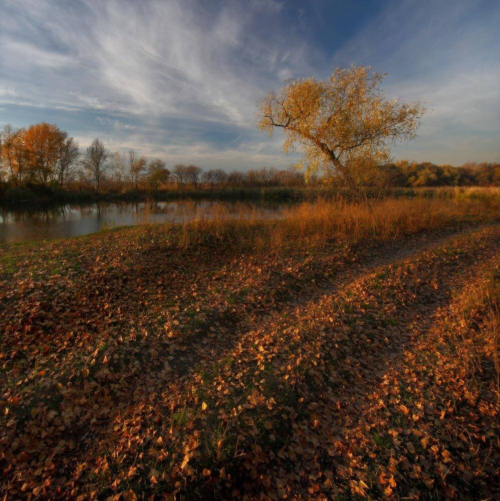 дорога, листья, октябрь, осень, река, Петриченко Валерий