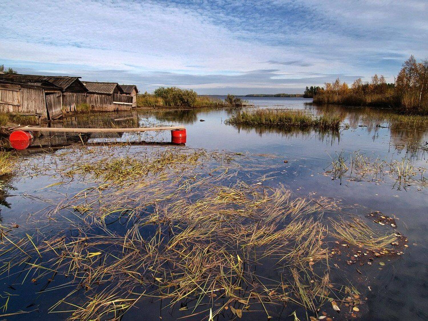 , Максим Евдокимов