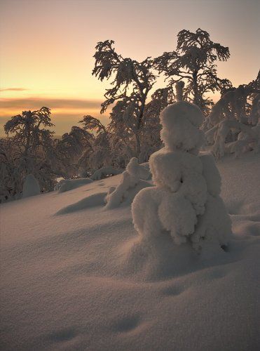 Укутанная снегом