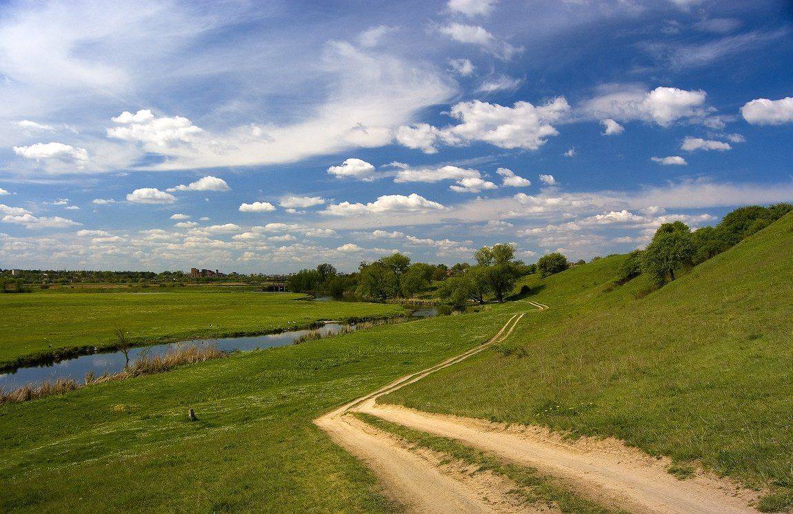 , Николай Шахманцир