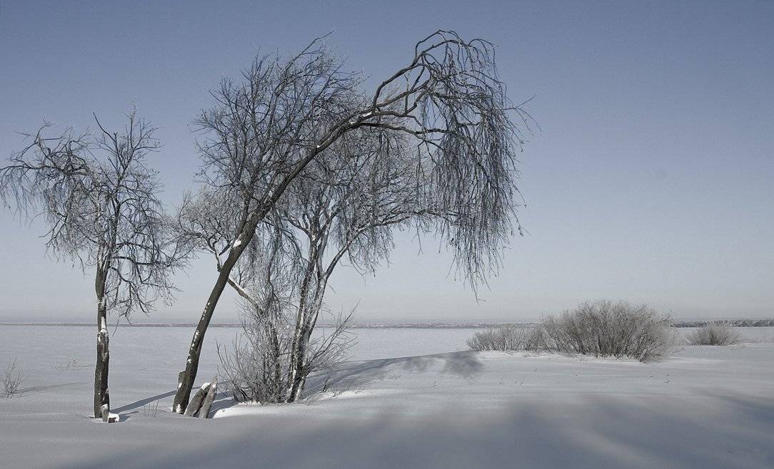 , Владимир Георгиевич