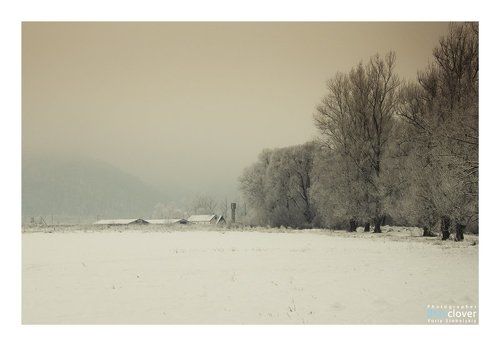 winter