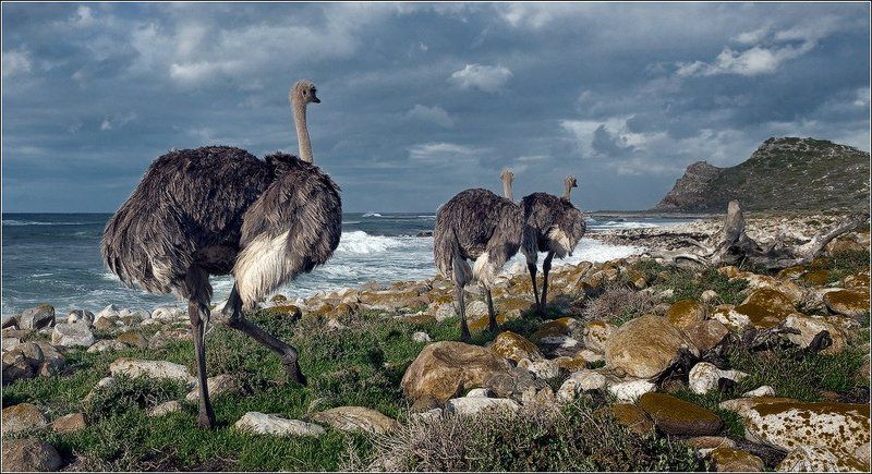 Граница на замке! фото превью