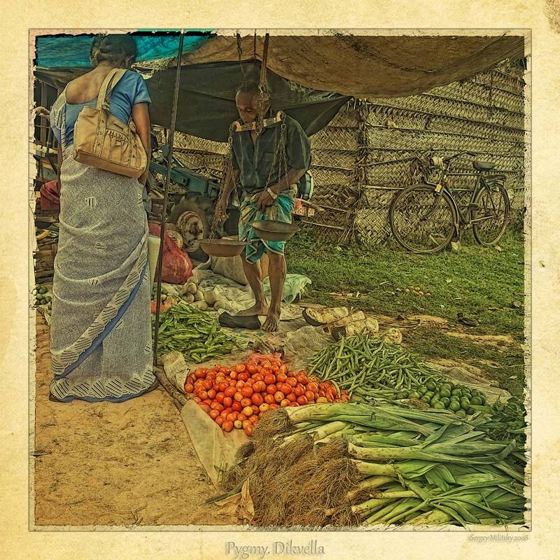 Рынок Диквеллы фото превью