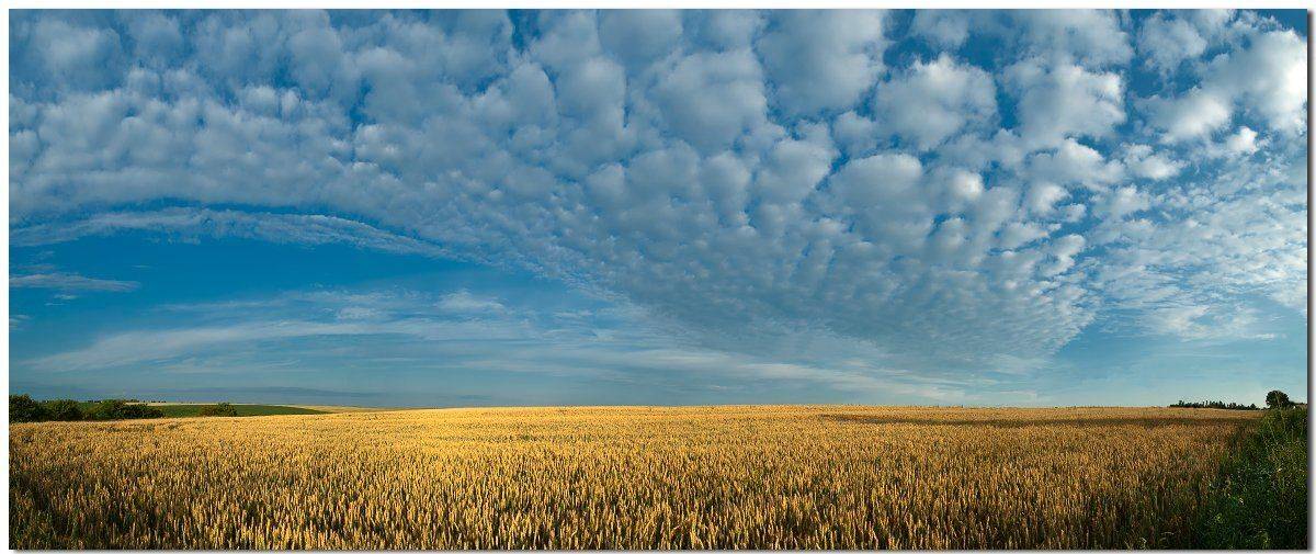 , Полищук И.В.