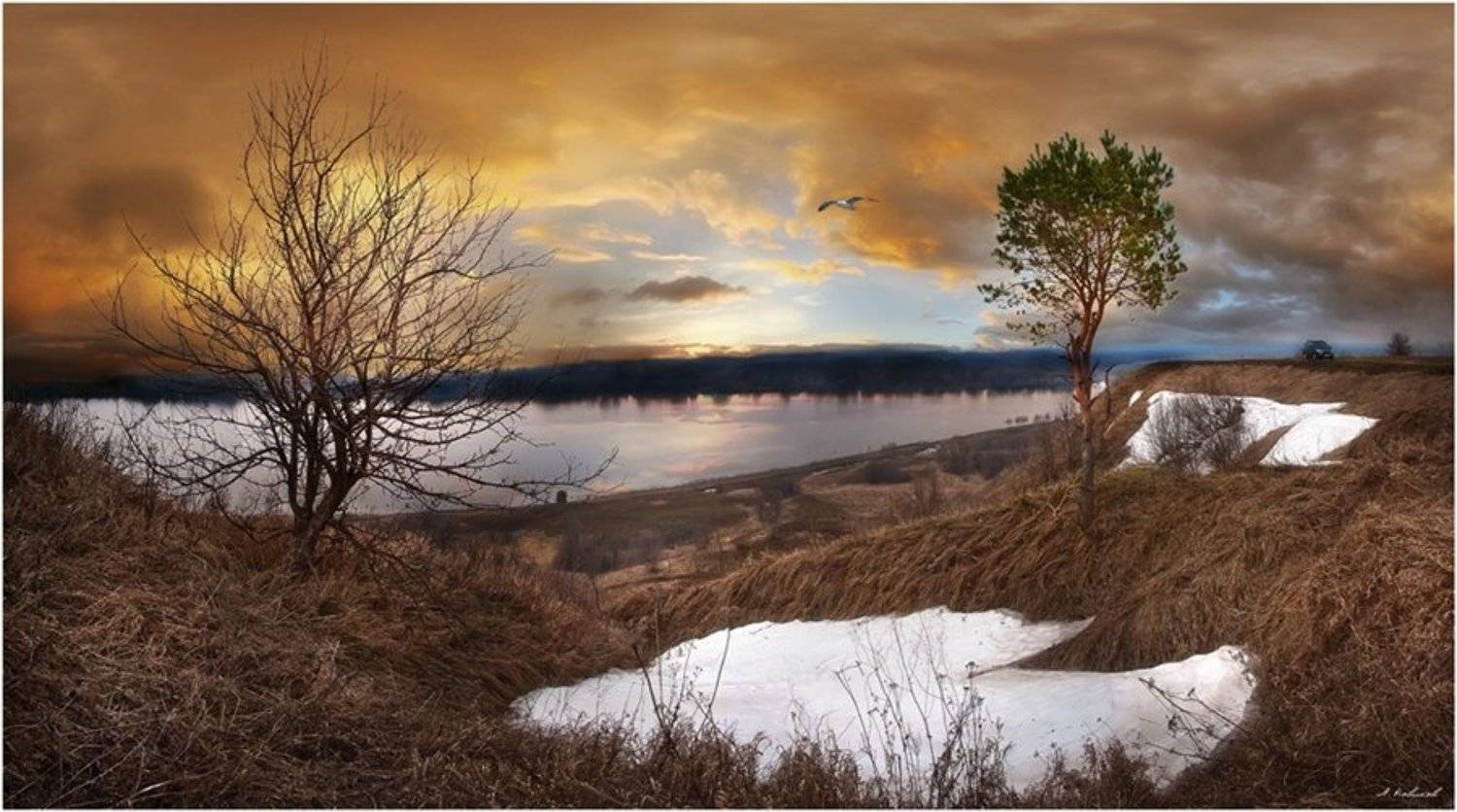 , Алексей Новиков