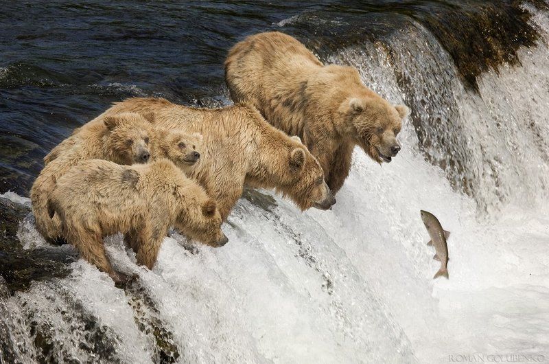 Семейная рыбалка фото превью