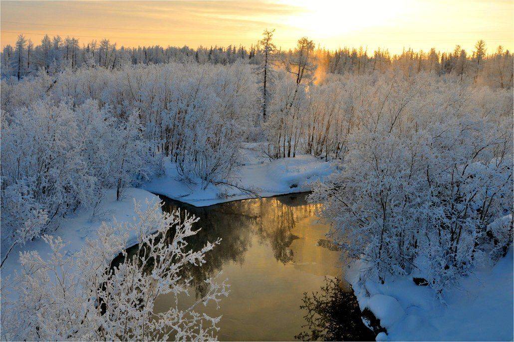 таймыр, Vladimir