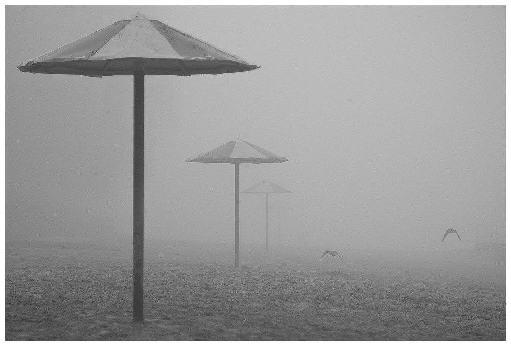 , Николай Шахманцир