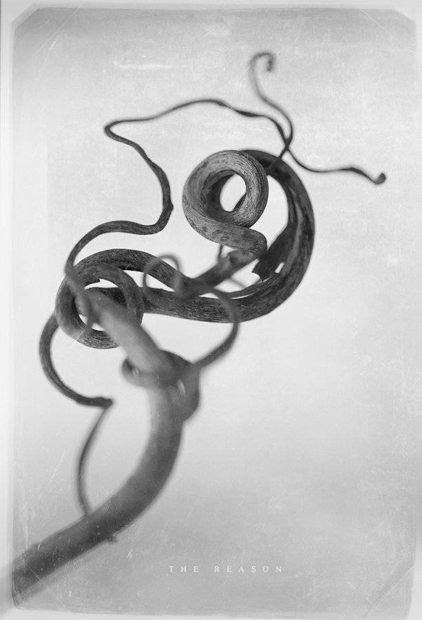 , Владимир Точаненко