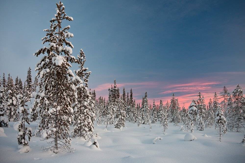 кольский, полуостров, зима, locus
