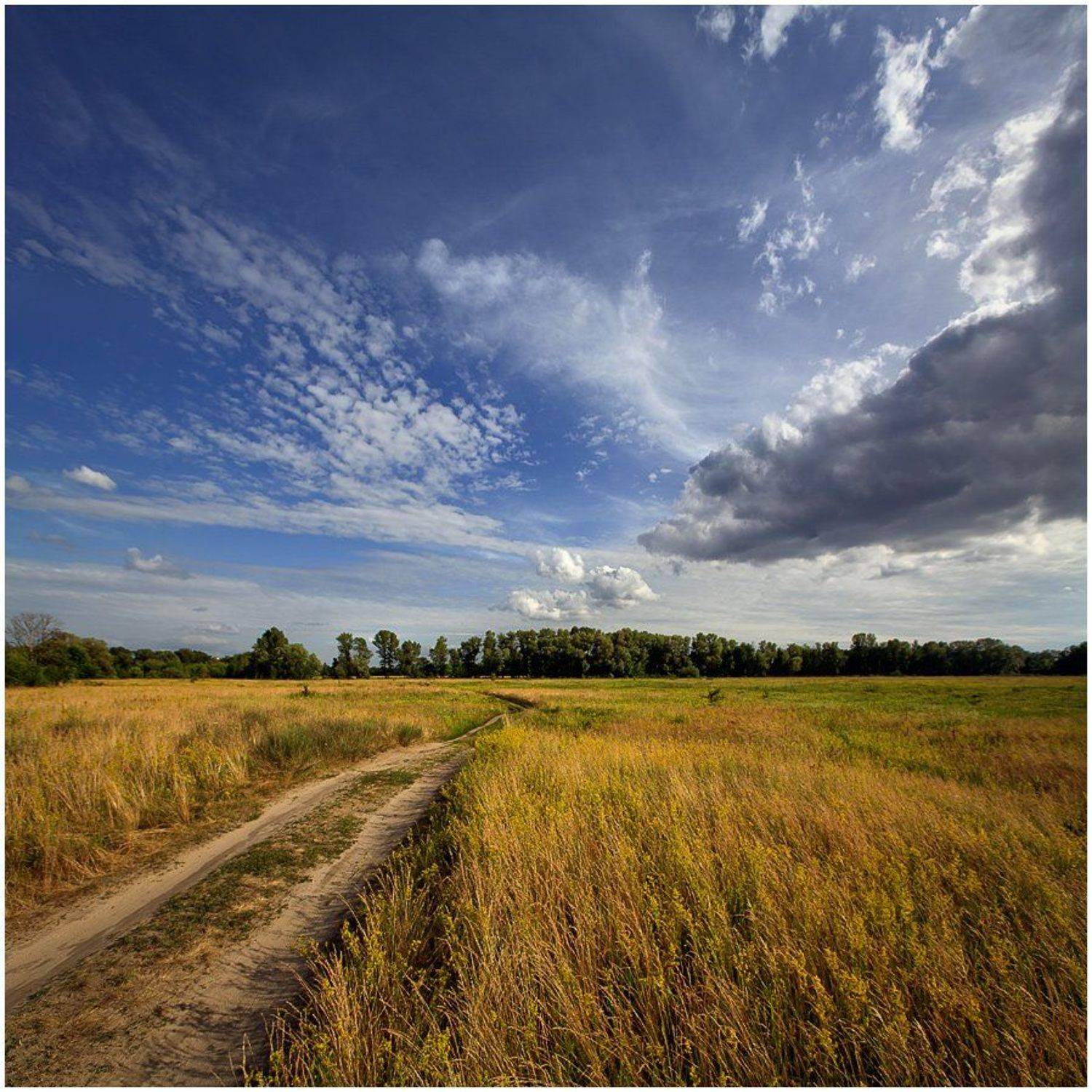 , Алексей Соловей