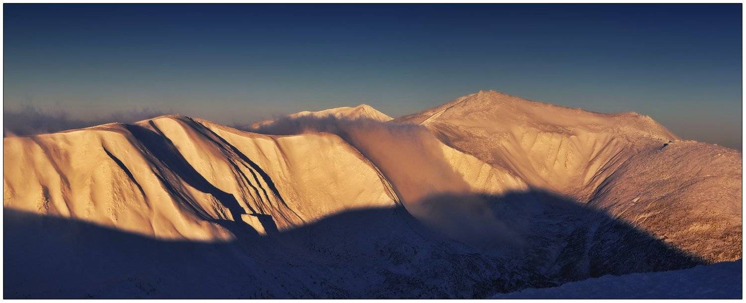 , Денис Кривой