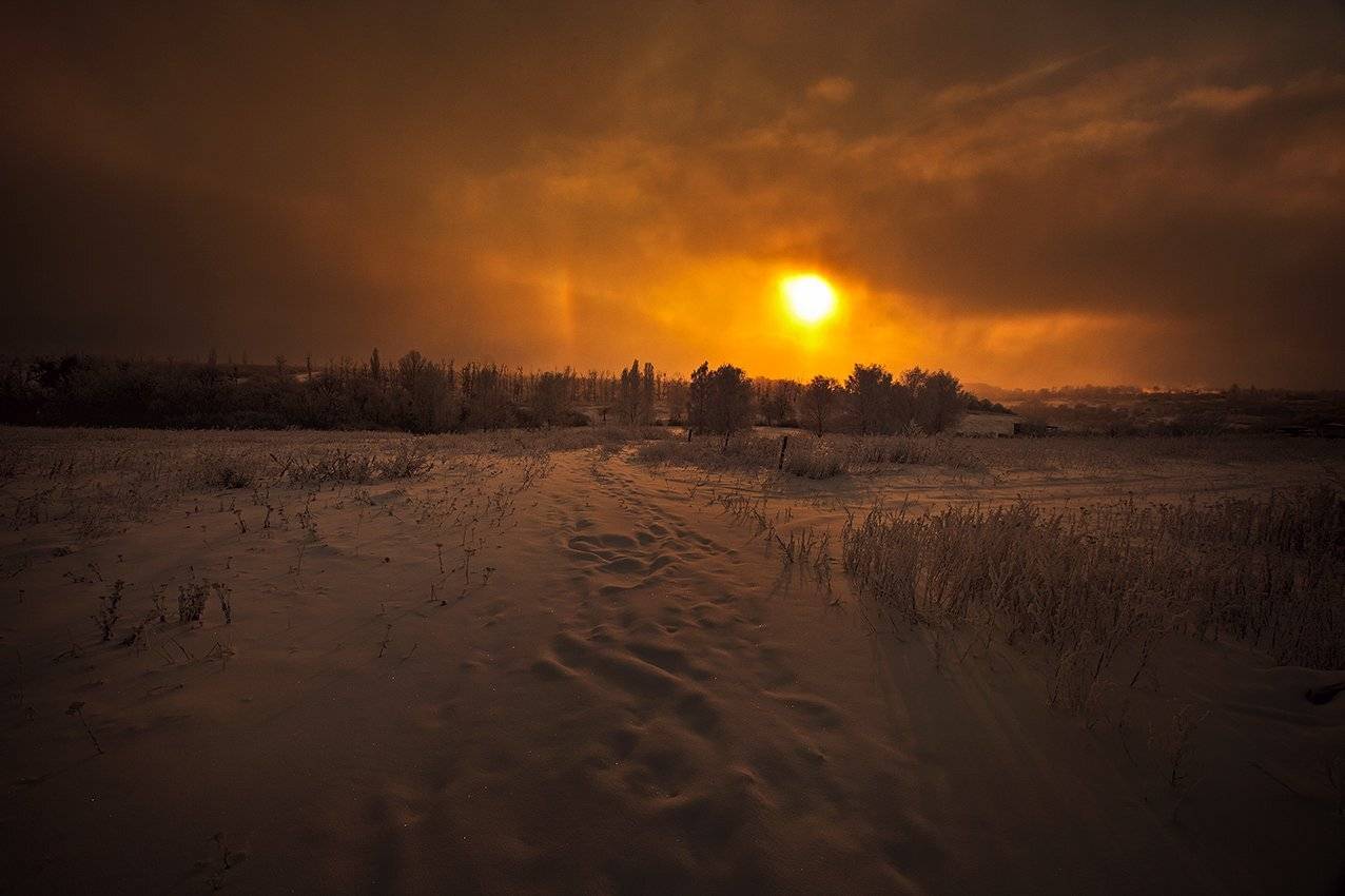 , Петр Антонович