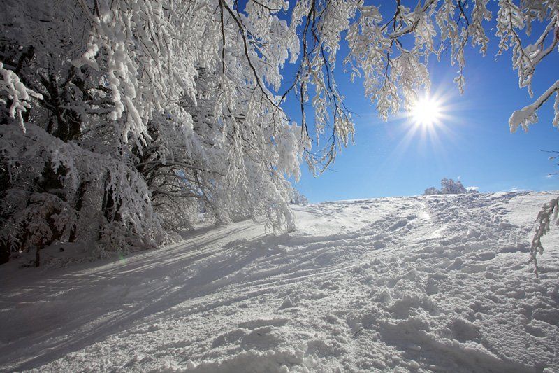 Вчерашний снег фото превью