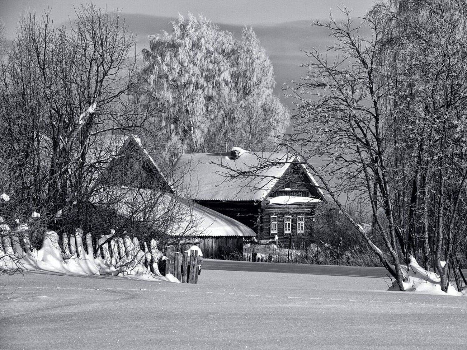 , Максим Евдокимов