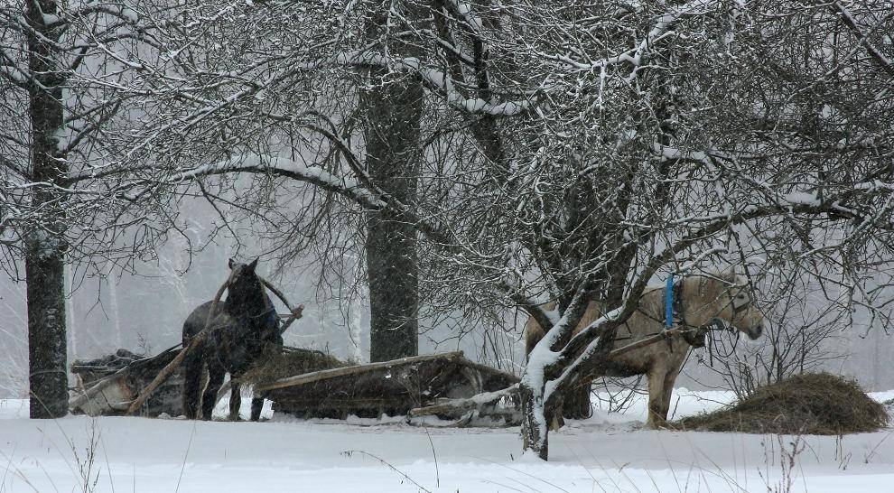 , Валерий Кондратов