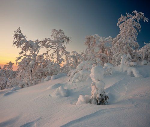 Зимнее царство