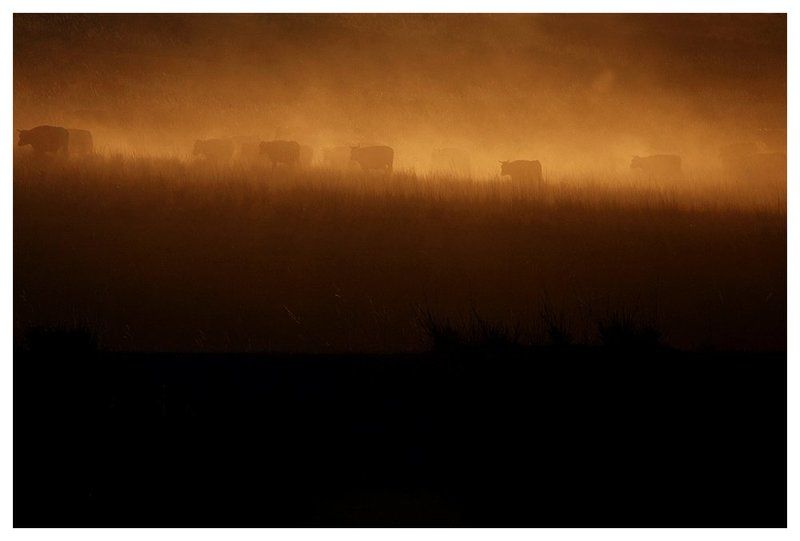 Marlboro фото превью