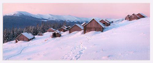 Розовые сны далекого города