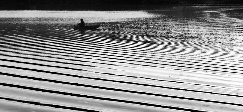 stripes фото превью