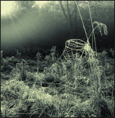 Пробуждение