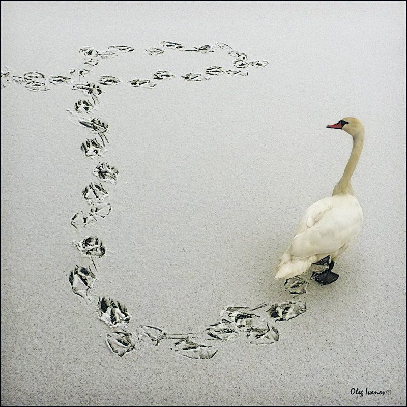 Иероглиф фото превью