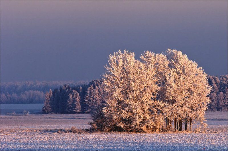 *** фото превью