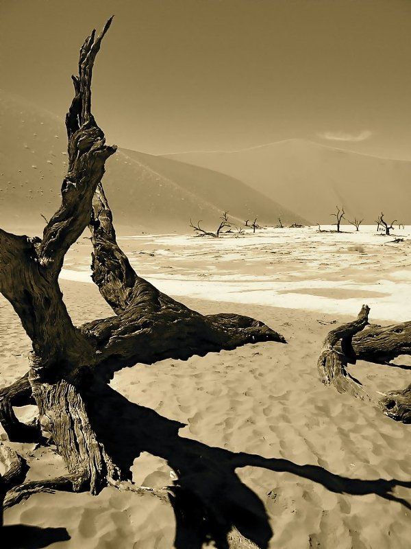 ушедшая жизнь (вариант) фото превью