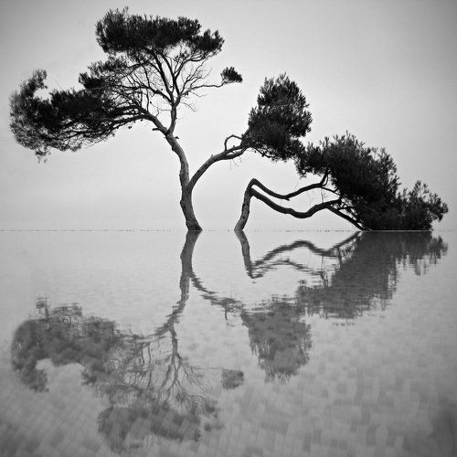 Любовь в квадрате.