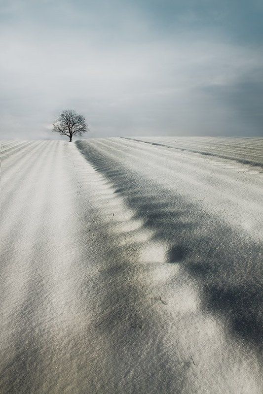 Winter in Poland фото превью