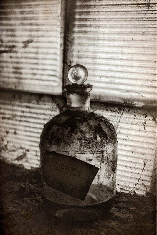 Poison#491 фото превью