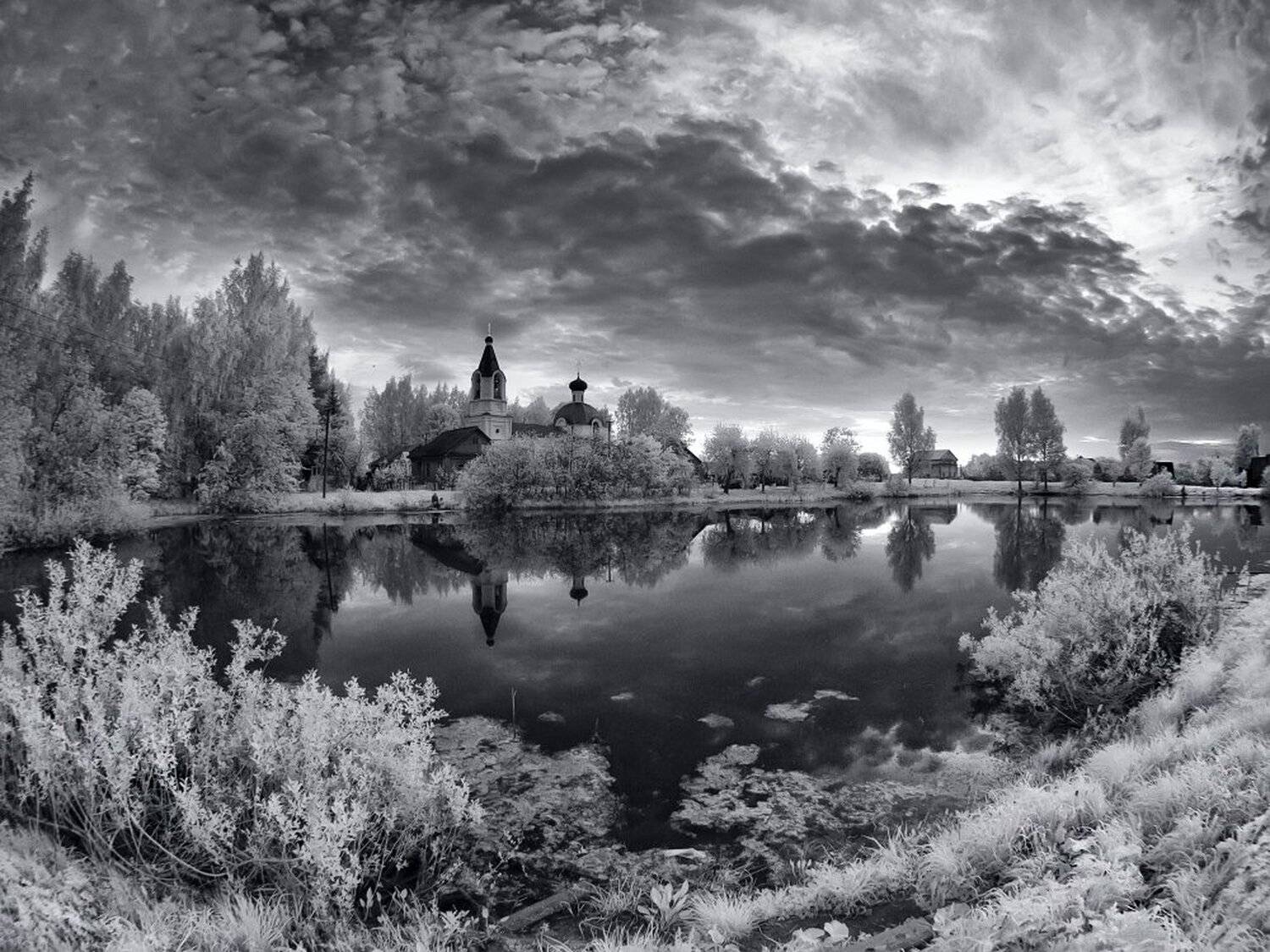 , Максим Евдокимов