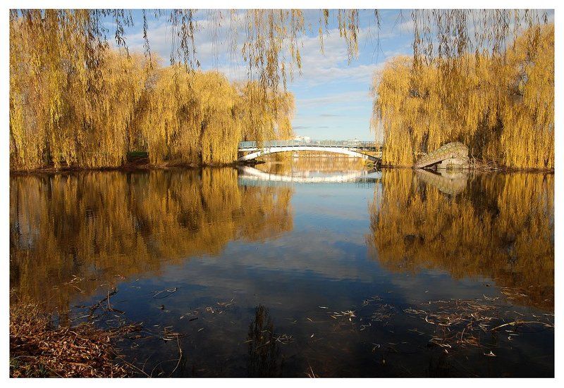 три месяца из жизни одного мостика... фото превью