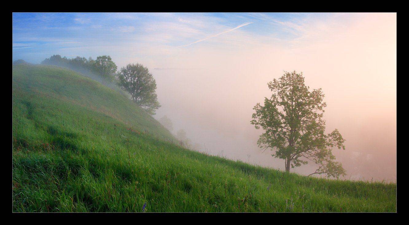 красивая, меча, Андрей Уляшев (Mercand)