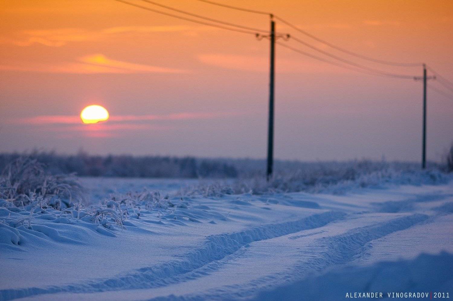 , Александр Виноградов