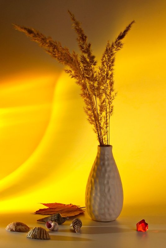 - - - фото превью