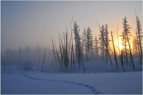Фотограф оставил автограф!
