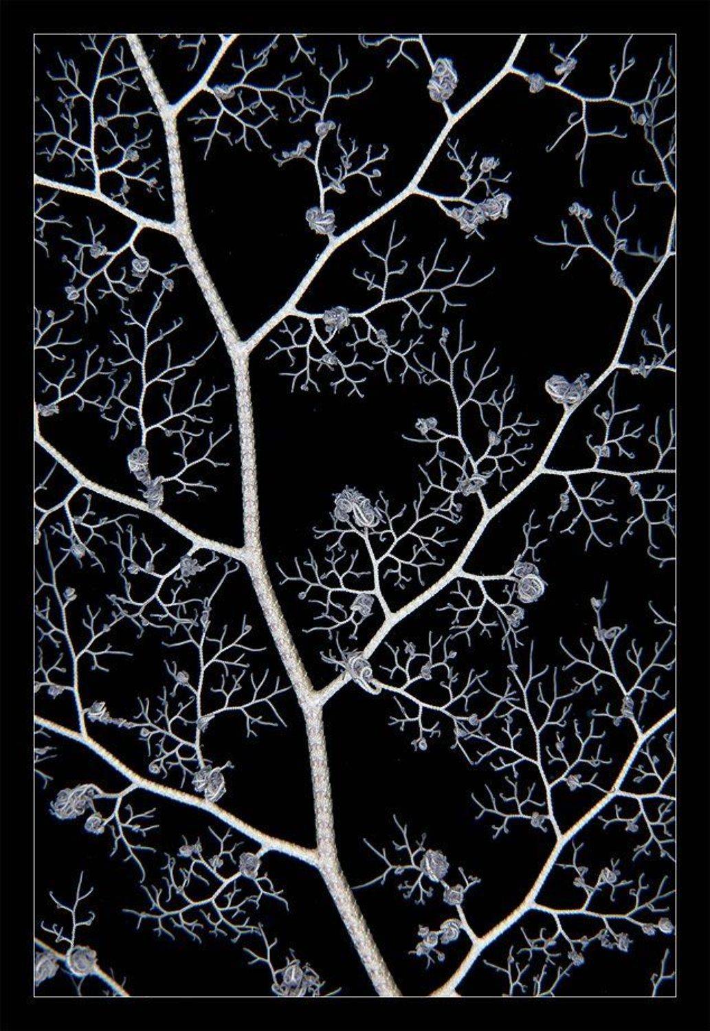 , Нарчук Андрей